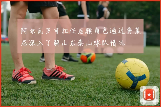 阿尔瓦罗可担任后腰角色通过费莱尼深入了解山东泰山球队情况
