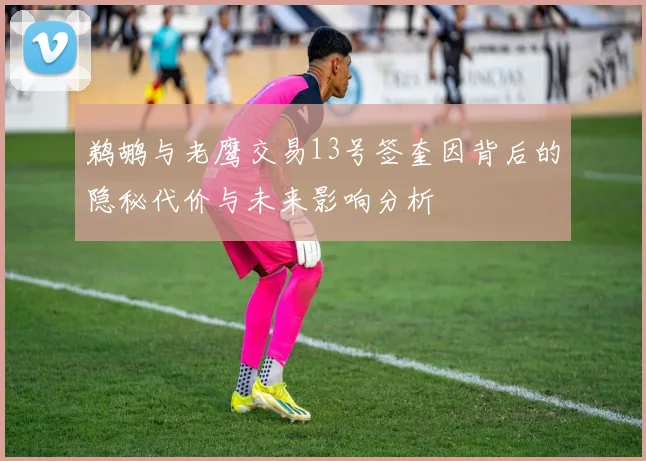 鹈鹕与老鹰交易13号签奎因背后的隐秘代价与未来影响分析
