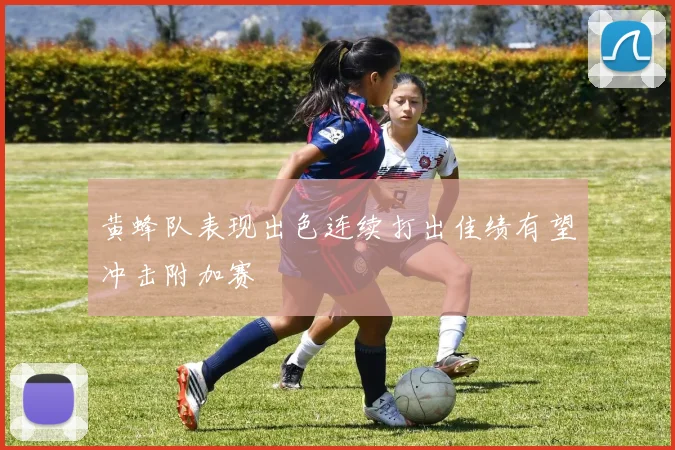 黄蜂队表现出色连续打出佳绩有望冲击附加赛