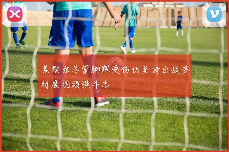 莱默尔尽管脚踝受伤仍坚持出战多特展现顽强斗志