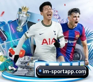 IM足球体育 APP | IMSPORTS
